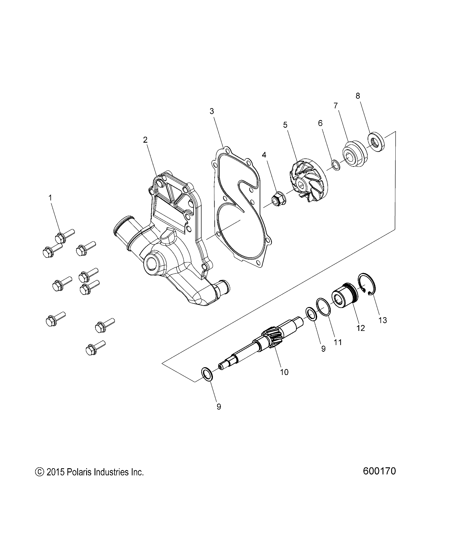Details about Seal - Polaris - 500 800 700 600 ACE EURO 440 HS IQ DRAGON  EUROPEAN - OEM - New